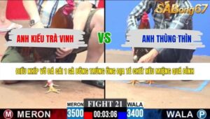 TRẬN 21 CPC3 17/5/2026