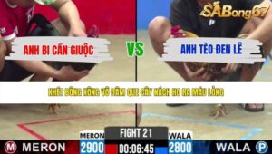 TRẬN 22 CPC2 20/5/2026