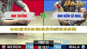 TRẬN 23 CPC2 15/5/2026
