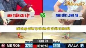 TRẬN 23 CPC2 21/5/2026