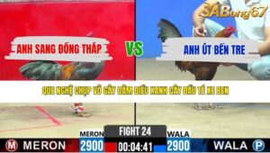 TRẬN 24 CPC2 10/5/2026