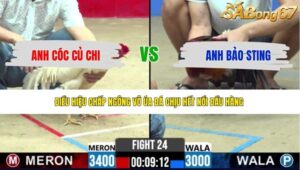 TRẬN 24 CPC2 15/5/2026