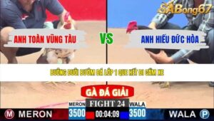 TRẬN 24 CPC3 17/5/2026