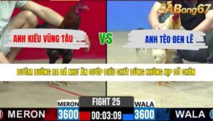 TRẬN 25 CPC2 8/5/2026