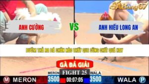 TRẬN 25 CPC3 17/5/2026