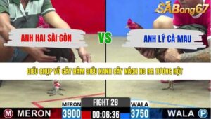 TRẬN 28 CPC2 11/5/2026