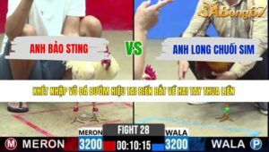 TRẬN 28 CPC2 13/5/2026