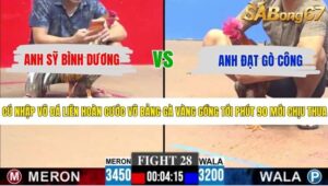 TRẬN 28 CPC3 11/5/2026