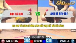 TRẬN 29 CPC3 21/5/2026