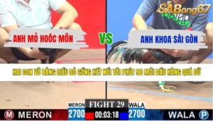 TRẬN 29 CPC3 9/5/2026