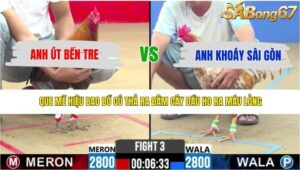 TRẬN 3 CPC2 10/5/2026