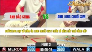 TRẬN 3 CPC2 20/5/2026