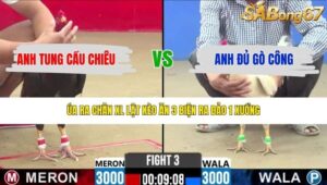 TRẬN 3 CPC2 3/5/2026