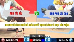 TRẬN 3 CPC3 10/5/2026
