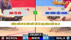 TRẬN 3 CPC3 18/5/2026