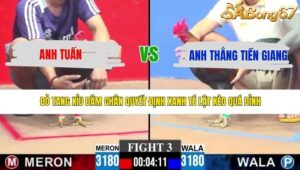 TRẬN 3 CPC3 7/5/2026