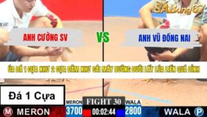 TRẬN 30 CPC3 10/5/2026