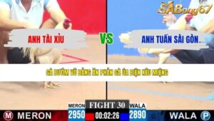 TRẬN 30 CPC3 17/5/2026