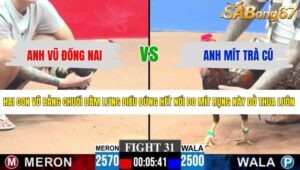 TRẬN 31 CPC3 16/5/2026