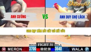 TRẬN 31 CPC3 7/5/2026
