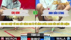 TRẬN 33 CPC2 13/5/2026