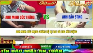 TRẬN 33 CPC2 20/5/2026