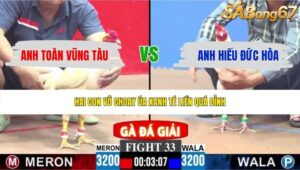TRẬN 33 CPC3 17/5/2026