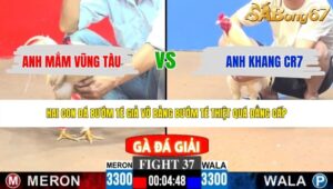 TRẬN 37 CPC3 17/5/2026