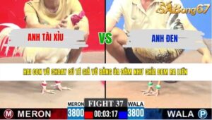 TRẬN 37 CPC3 21/5/2026