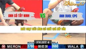TRẬN 4 CPC3 11/5/2026