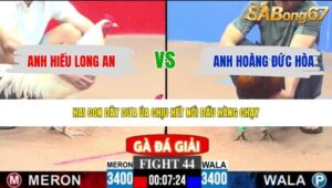 TRẬN 44 CPC3 17/5/2026