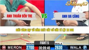 TRẬN 5 CPC2 11/5/2026