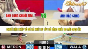 TRẬN 5 CPC2 13/5/2026