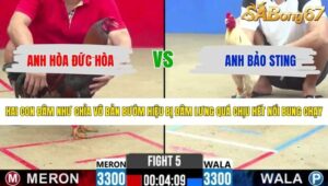 TRẬN 5 CPC2 19/5/2026