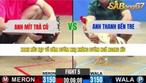TRẬN 5 CPC2 20/5/2026