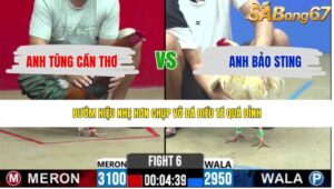 TRẬN 6 CPC2 19/5/2026