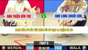 TRẬN 6 CPC2 20/5/2026