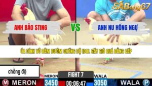 TRẬN 7 CPC2 1/5/2026