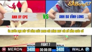 TRẬN 7 CPC2 21/5/2026