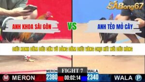 TRẬN 7 CPC3 16/5/2026