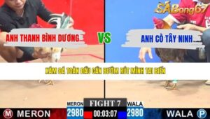 TRẬN 7 CPC3 9/5/2026