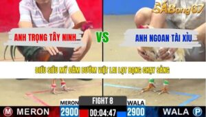 TRẬN 8 CPC2 12/5/2026