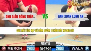 TRẬN 8 CPC2 21/5/2026