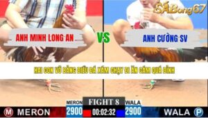 TRẬN 8 CPC3 10/5/2026