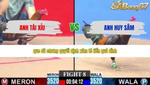 TRẬN 8 CPC3 17/5/2026