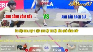 TRẬN 8 XÀ XÍA 7/5/2026