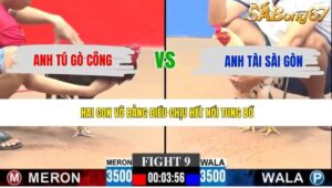 TRẬN 9 CPC3 11/5/2026