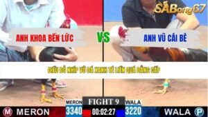 TRẬN 9 CPC3 17/5/2026