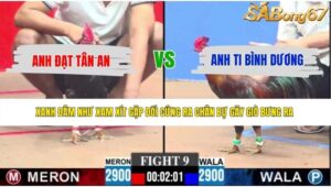 TRẬN 9 CPC3 21/5/2026